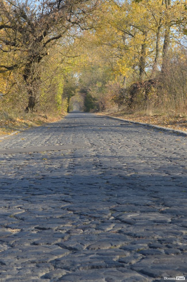 Відновити замок та збудувати ратушу: як планують «відроджувати» Олику. ФОТО