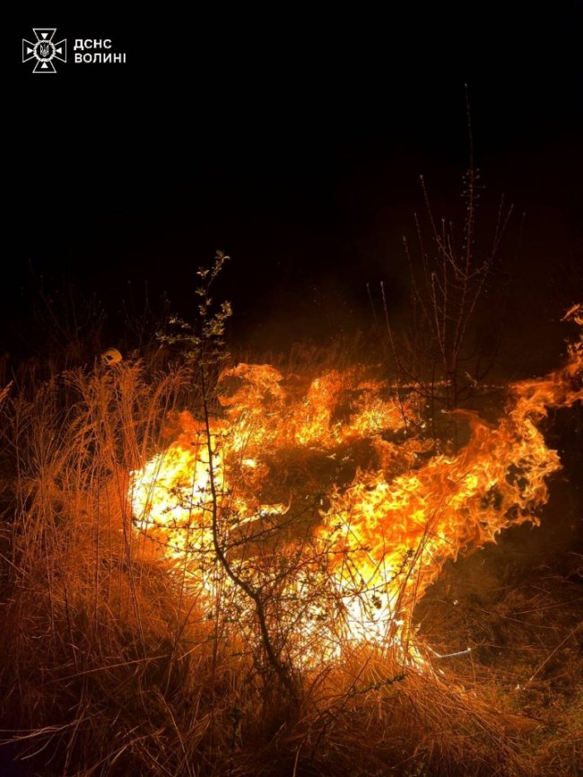 Пожежі на Волині: полум'я перекинулося із сухої трави на хата-пустку