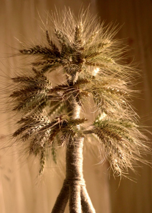 Від Волині – аж до Сходу: які цікаві традиції на Різдво були у різних куточках України