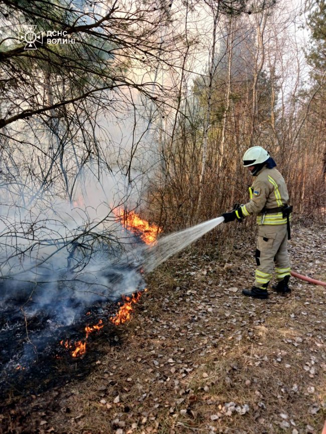 На Волині через підпал сухої трави загорівся житловий будинок