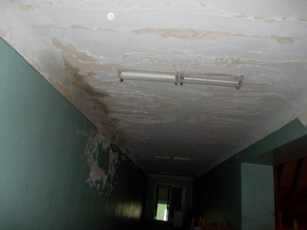 Грибок, корозія і дірявий дах: яким продали кінотеатр «Промінь». ФОТО