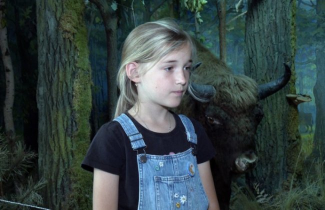 У 95-річчя Волинського краєзнавчого музею показали найдавніші і найсучасніші експонати. ВІДЕО