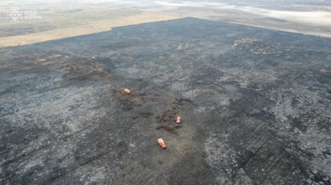 На Волині за минулу добу - понад 65 пожеж: горіли поля, ліси та торфовища
