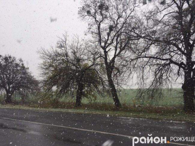 Мокрий і лапатий: на Волині - сніг. ФОТО