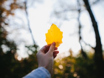 Синоптики дали прогноз на початок осені