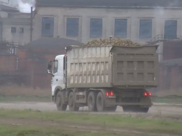Може подорожчати цукор: на Волині закінчується сезон збору цукрових буряків. ВІДЕО 