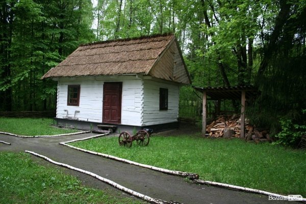 Партизанський музей у Лопатні: уламок ідеології чи місце пам’яті героїв?