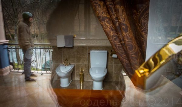 «Золотий» унітаз Януковича. ФОТО