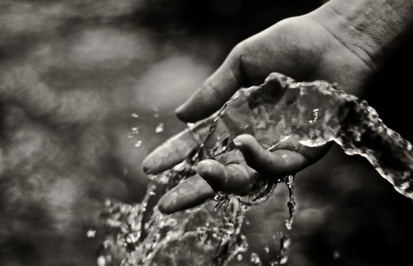 Фотовиставка Уляни Макар