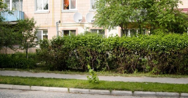 Мешканці райцентру на Волині скаржаться на комунальників. ФОТО