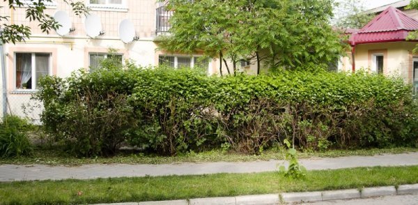 Мешканці райцентру на Волині скаржаться на комунальників. ФОТО