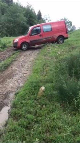 Штовханина і стрілянина: на Буковині півсотні людей заблокували прикордонників