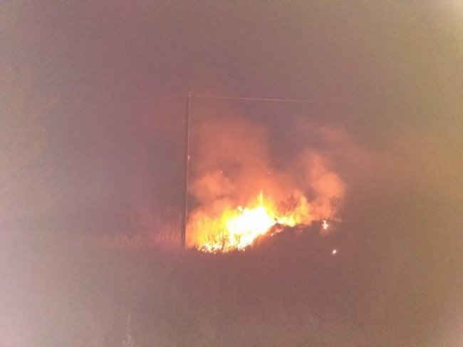 Поблизу Нововолинська – пожежа на сміттєзвалищі