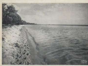 Показали фото Світязю столітньої давнини 