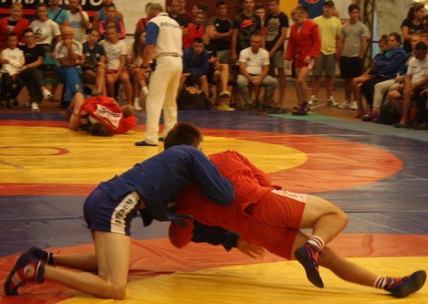 Волинські спортсмени здобули 2 бронзові медалі на чемпіонаті України із самбо