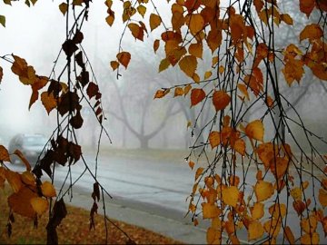 Синоптики розповіли про погоду у найближчі дні