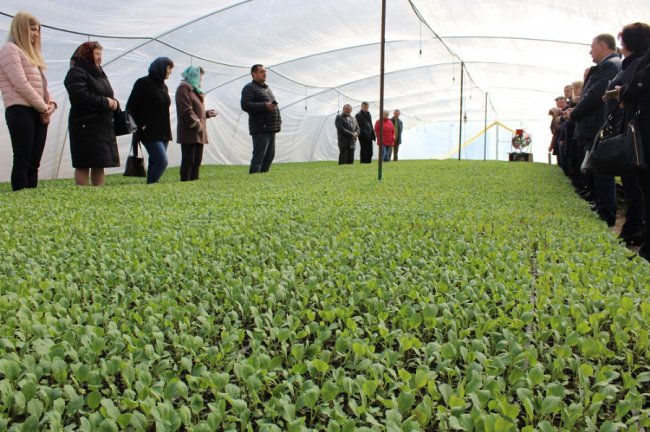 Малина, полуниця, цибуля: як на Волині фермери вирощують органічну продукцію