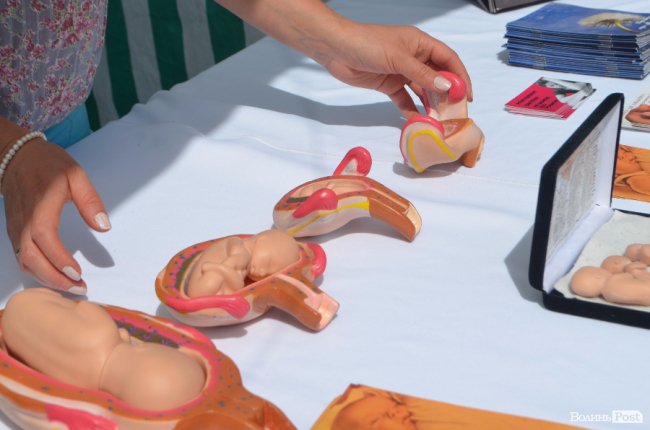 Сімейний фестиваль в Луцьку: як це було. ФОТО