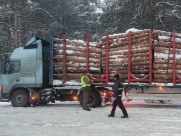 На Волині поліцейські затримали фуру з незаконним лісом