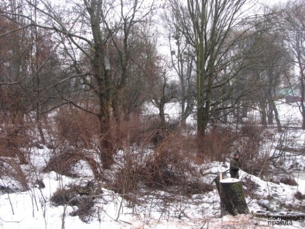 Луцький парк чистять до Водохреща. ФОТО