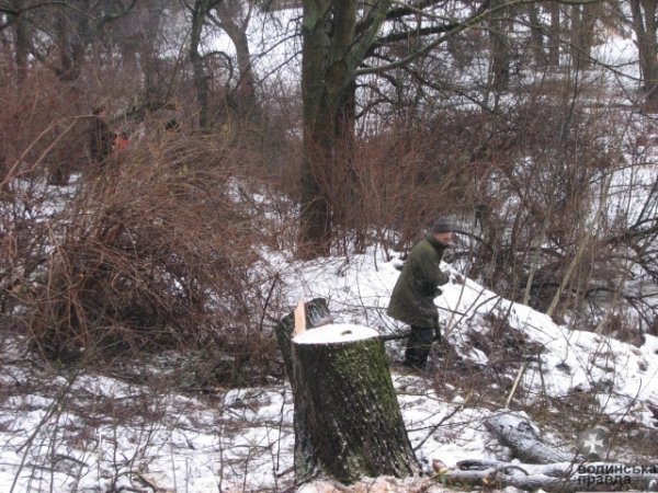 Луцький парк чистять до Водохреща. ФОТО