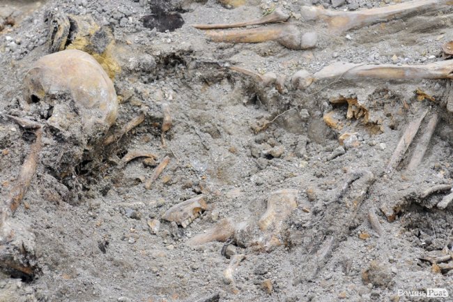 У Луцьку розкопали масове захоронення розстріляних в'язнів