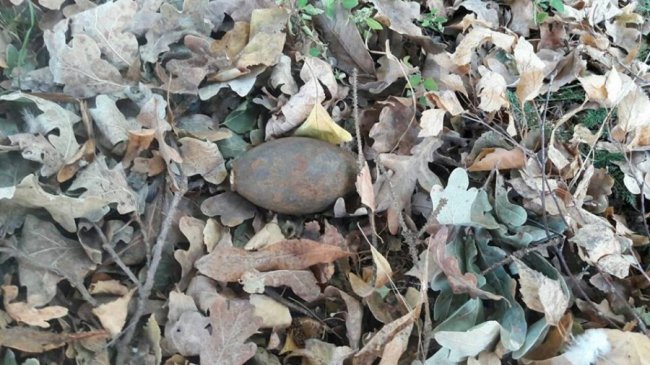 На Волині селяни під час прогулянок знаходять боєприпаси