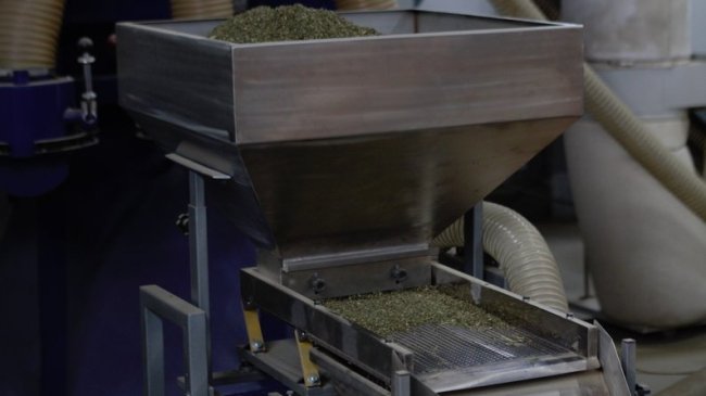 У Луцьку ветеран війни з другом виготовляють авторські чаї: частину зароблених грошей віддають на ЗСУ