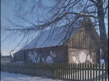 Хати наче ожили: у селі на Волині щороку поновлюють петриківський розпис на будинках