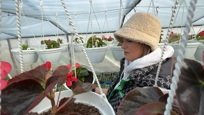 Волинська блогерка-квітникарка продає розсаду на ринку та веде ТікТок