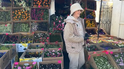 Волинська блогерка-квітникарка продає розсаду на ринку та веде ТікТок