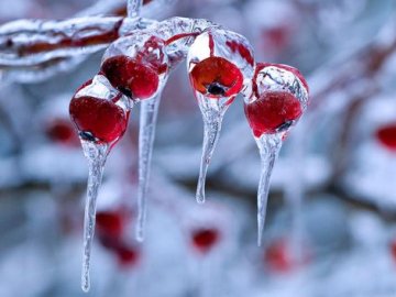 У грудні будуть і сильні морози, і відлига:  якою буде погода до кінця року
