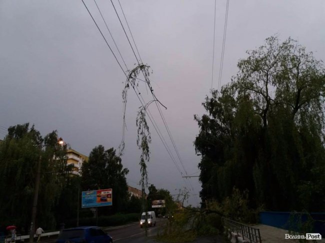 Гілля на проводах та потрощені дерева: луцький проспект після бурі. ФОТО