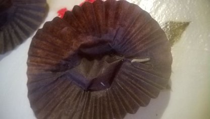 У луцькому супермаркеті продають цукерки з хробаками. ФОТО