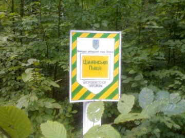 На директора «Цуманської пущі» поскаржаться міністру