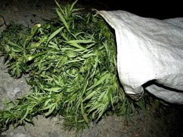 У волинянина знайшли мішок канабісу