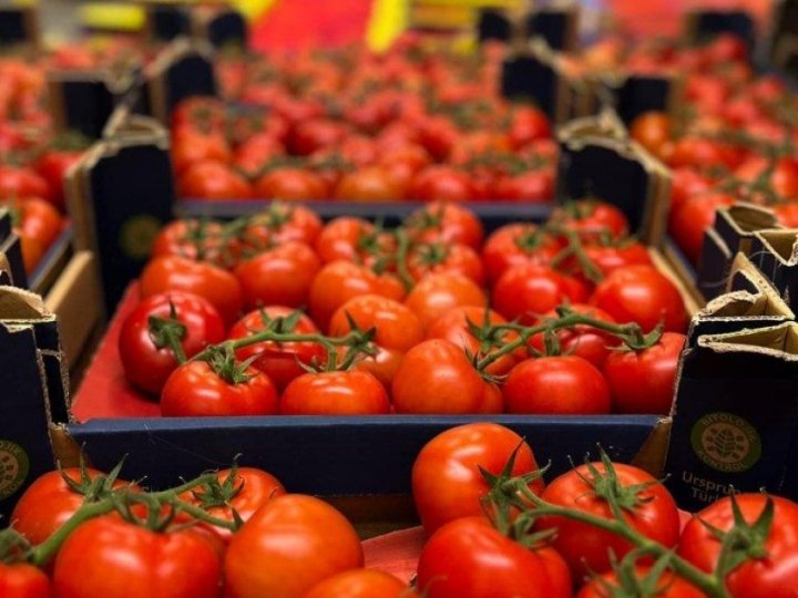 На луцьких ринках впали ціни на томати