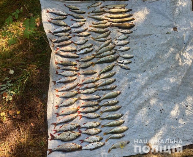 Ловив рибу сітками: на Волині викрили браконьєра