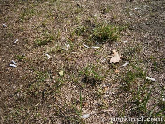 У Ковелі містечко розваг для дітей - у бур'янах. ФОТО