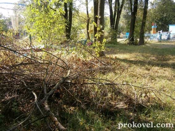 У Ковелі містечко розваг для дітей - у бур'янах. ФОТО