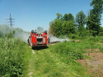 Хмари диму: у луцькому парку гасили пожежу. ФОТО