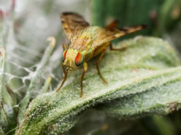 Прогулянки луцьким парком: підбірка «живих» світлин. ФОТО 
