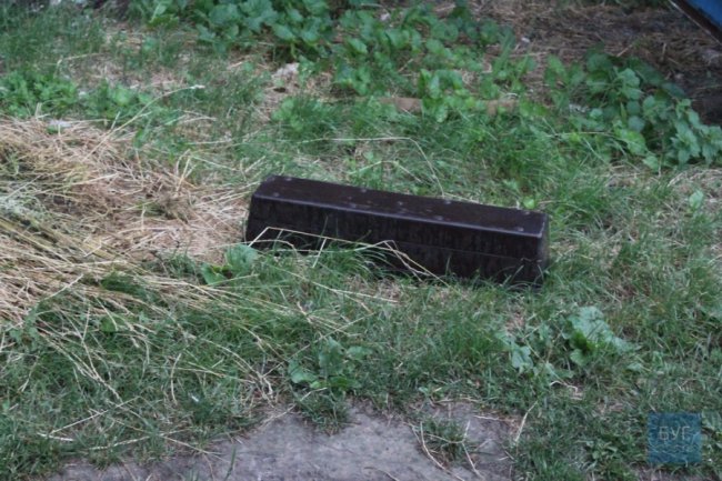 У Нововолинську вітер повалив дерева та познімав шифер із дахів