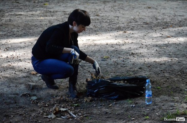 Лучани винесли 150 мішків сміття з скверу Героїв Майдану. ФОТО 