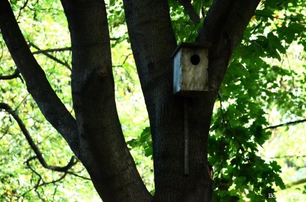 Лучани винесли 150 мішків сміття з скверу Героїв Майдану. ФОТО 