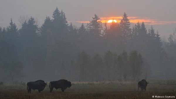 8 найгарніших парків Європи. ФОТО