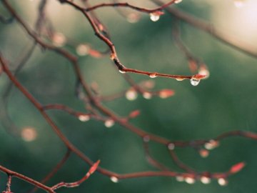 Погода у Луцьку та Волинській області на п'ятницю, 26 березня