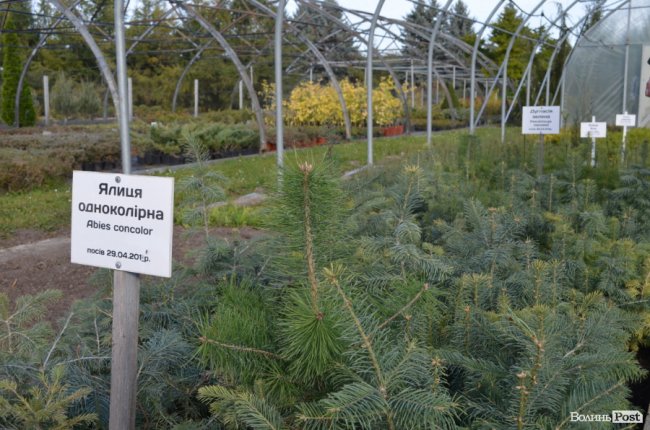 Поляків вражає робота волинських селекційних розсадників