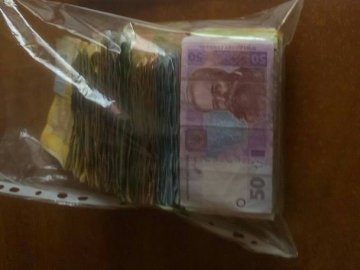 Волинські школярі на ярмарку зібрали гроші для військових