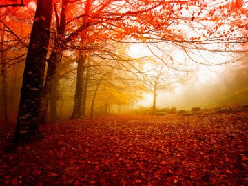 Погода в Луцьку та Волинській області на четвер, 26 жовтня